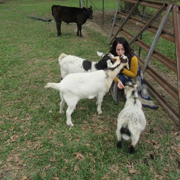 Meet your Posher, Sarah! Accepting most offers!!! - Picture 3 of 5